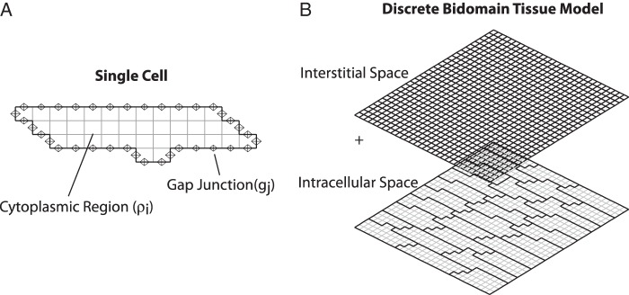 Figure 1