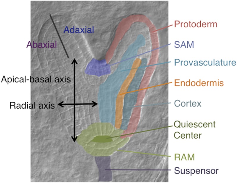 Figure 1.