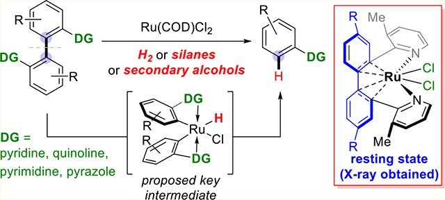 graphic file with name nihms-1570670-f0001.jpg