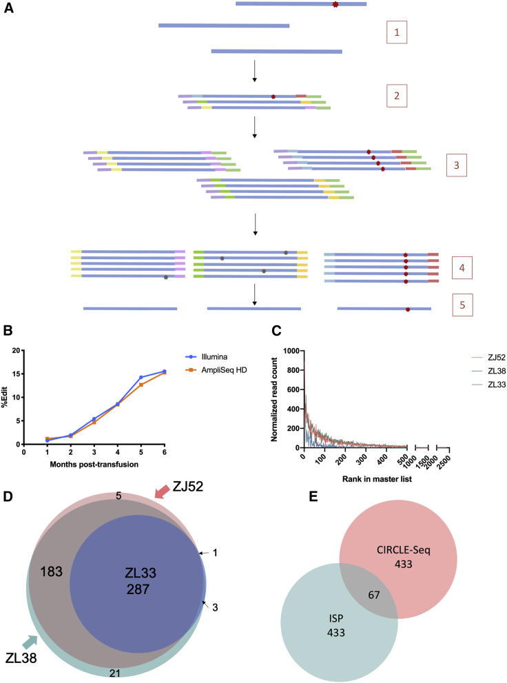 Figure 3