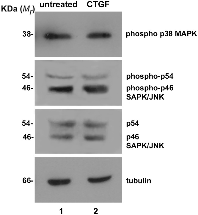 Fig 5