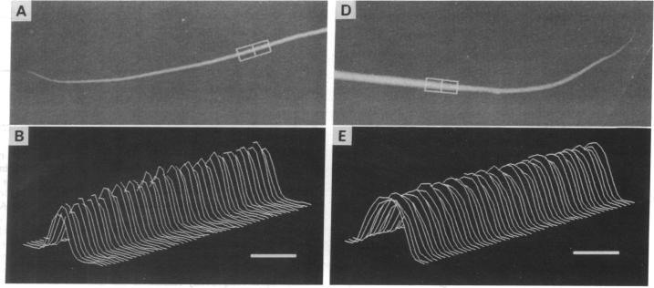 graphic file with name pnas01094-0501-a.jpg