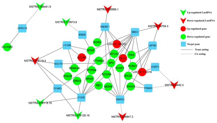 Figure 7