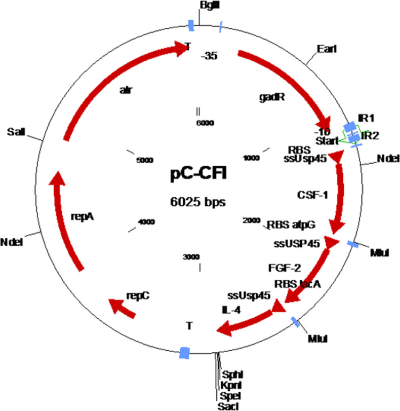 Fig 1