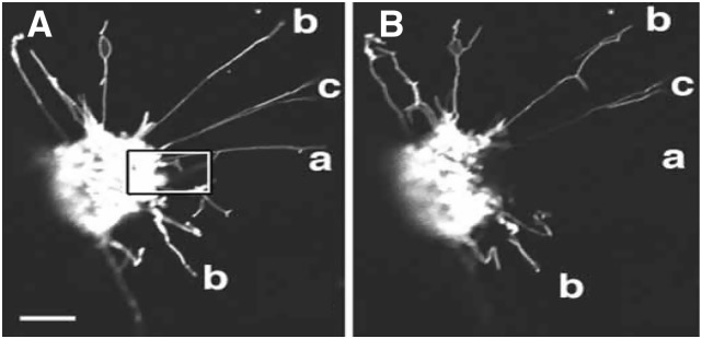 Figure 2.