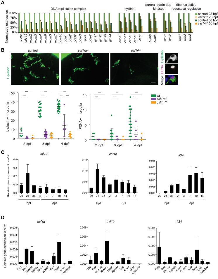 Figure 2—figure supplement 1.