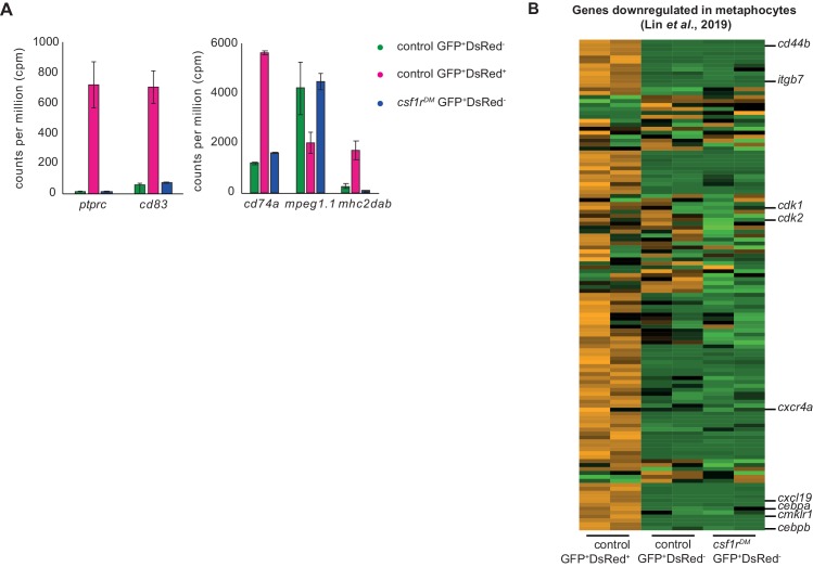 Figure 5—figure supplement 2.