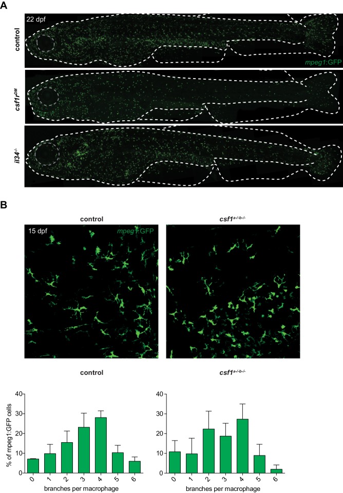 Figure 4—figure supplement 1.