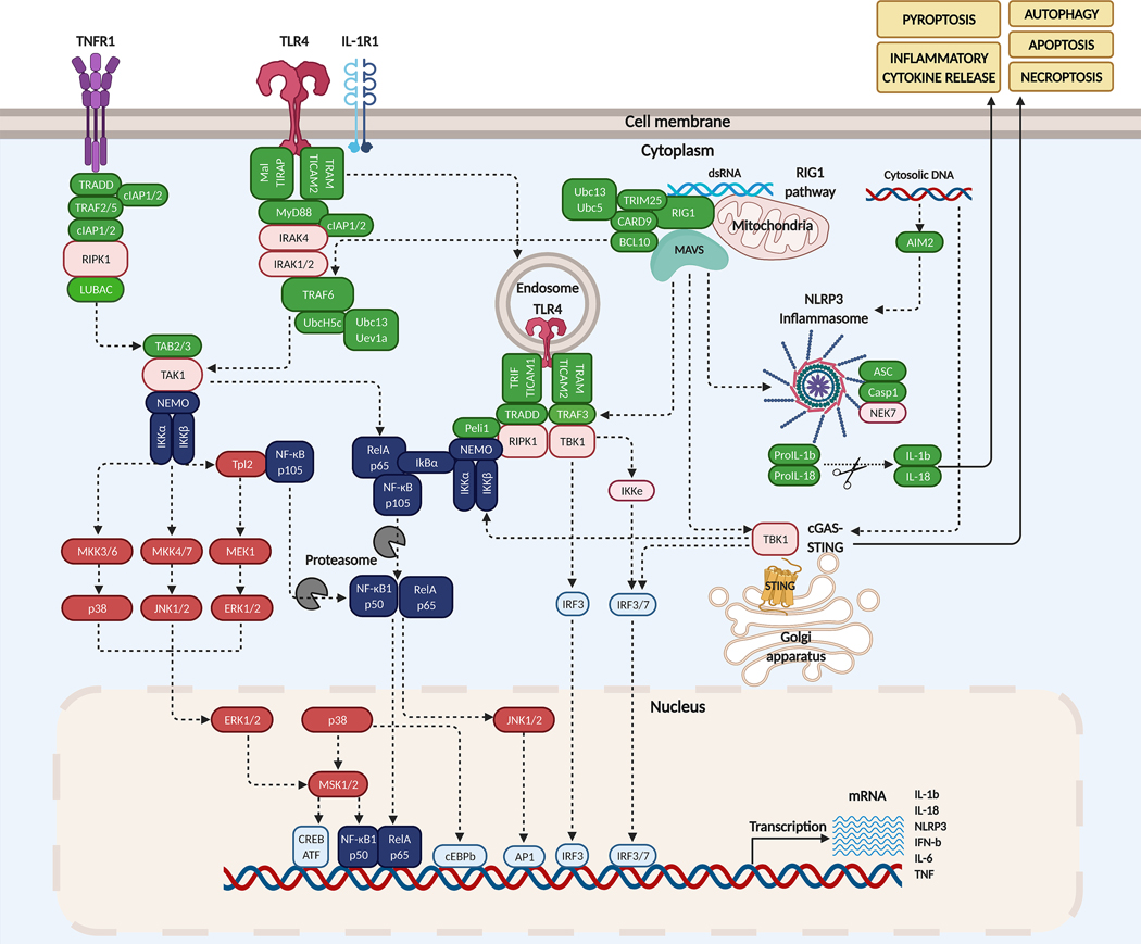 Figure 1.