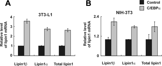 FIGURE 11.