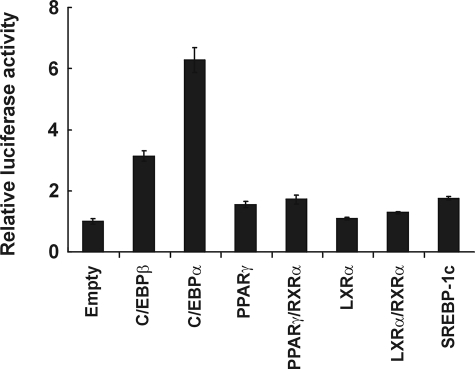 FIGURE 9.