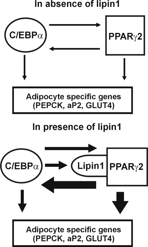 FIGURE 12.