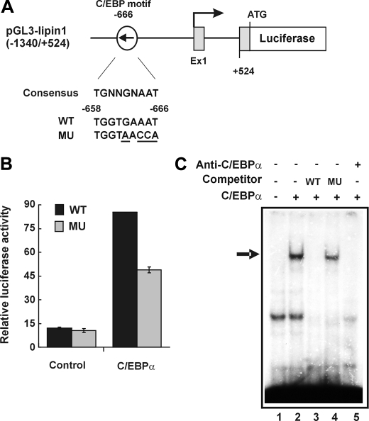 FIGURE 10.