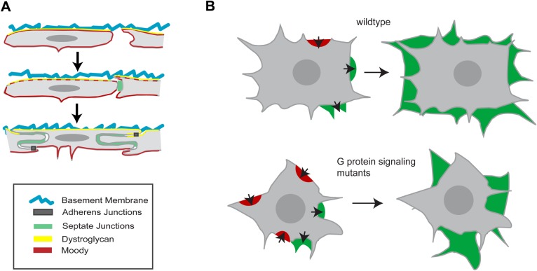 Fig. 6.