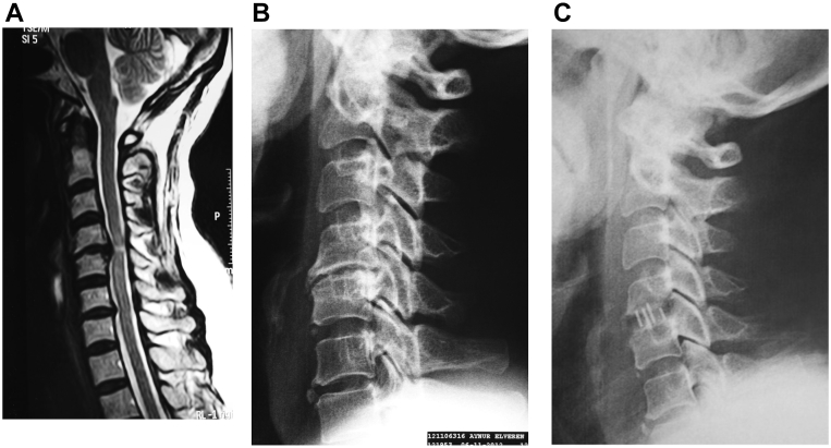 Fig. 2