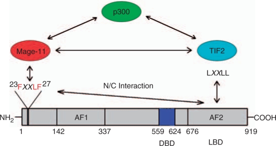 Figure 2.