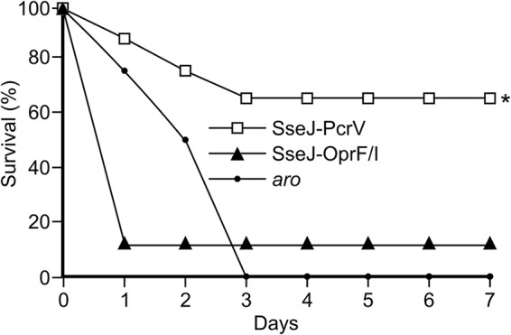 FIG 3