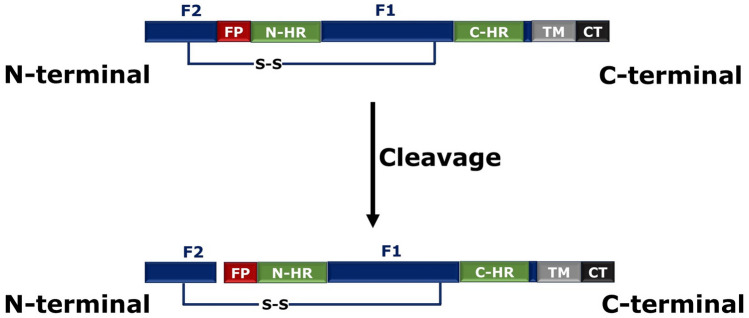 Fig. 8