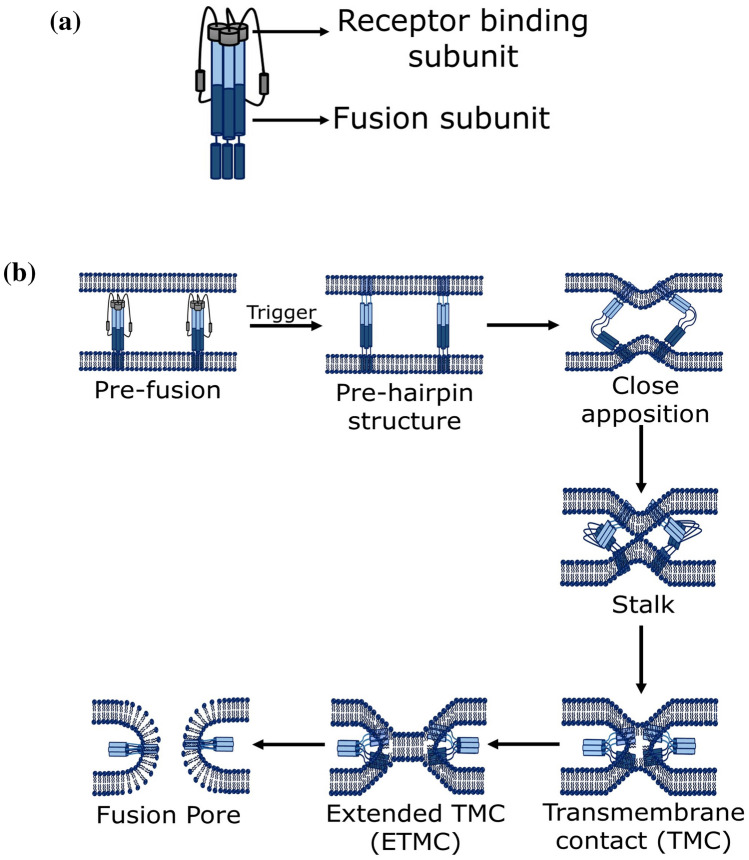 Fig. 4