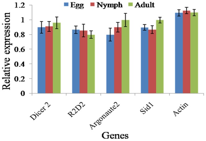 Figure 6