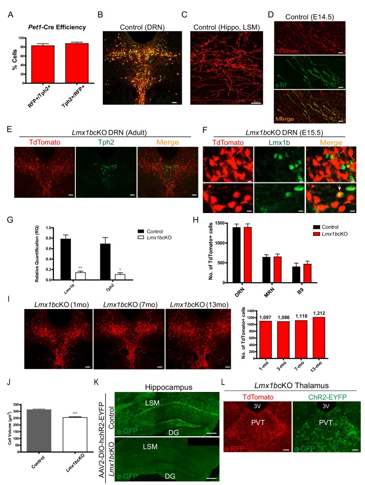 Figure 1—figure supplement 1.