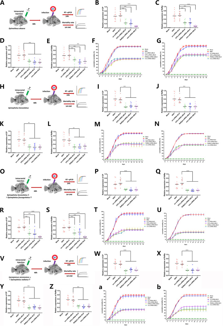 FIG 6