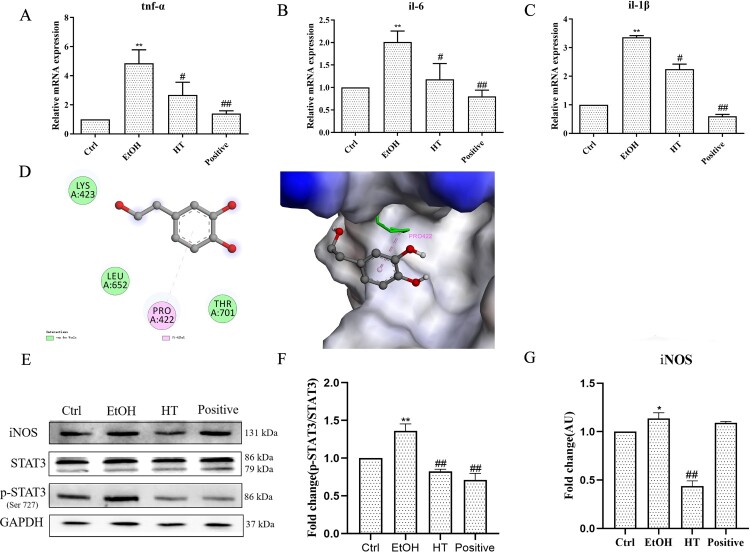 Figure 7.