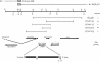 Fig. 3.