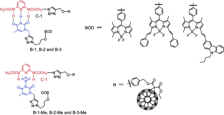 Scheme 3