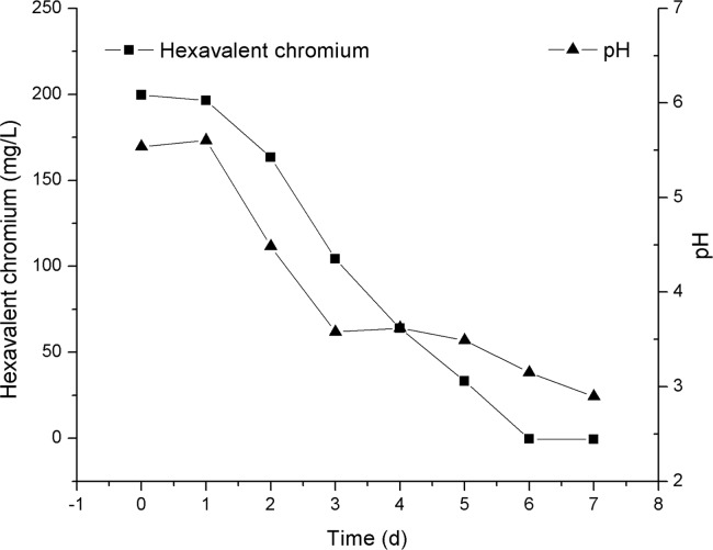 Fig 5