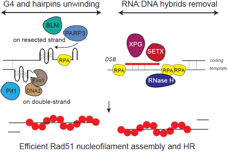 Figure 6: