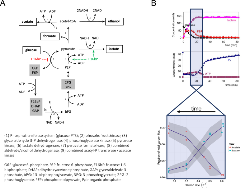 Figure 1