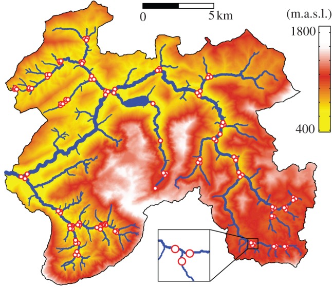 Figure 1.