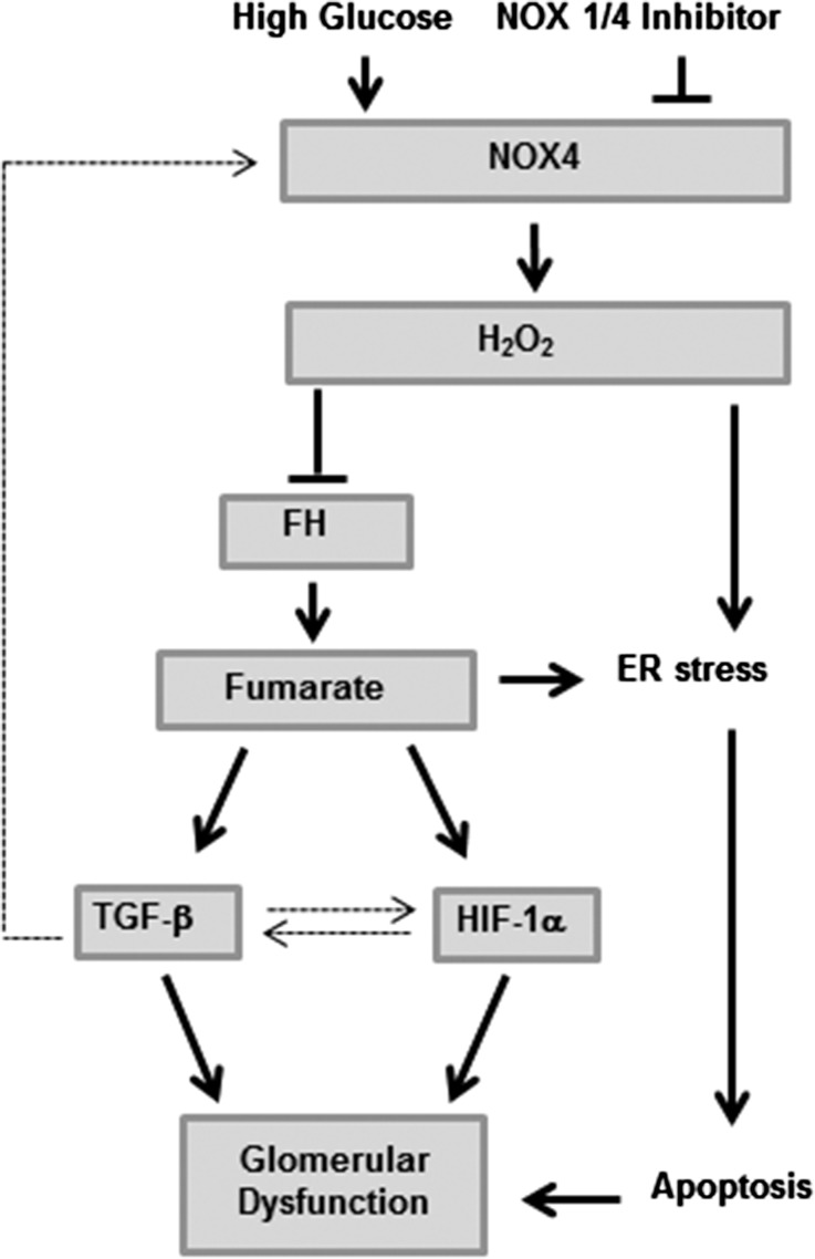 Figure 9.