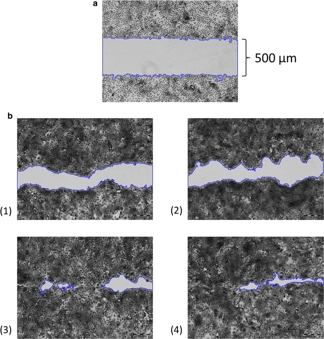 Fig. 4