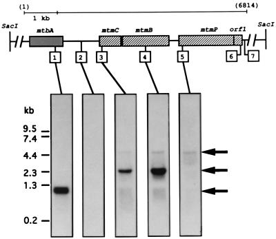 FIG. 5