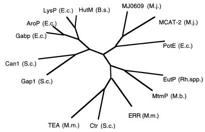 FIG. 7