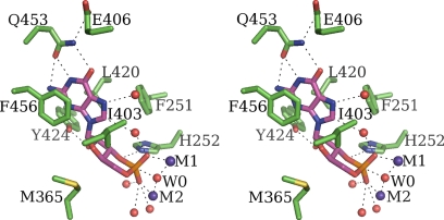 Fig. 2.