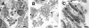 FIG. 6.