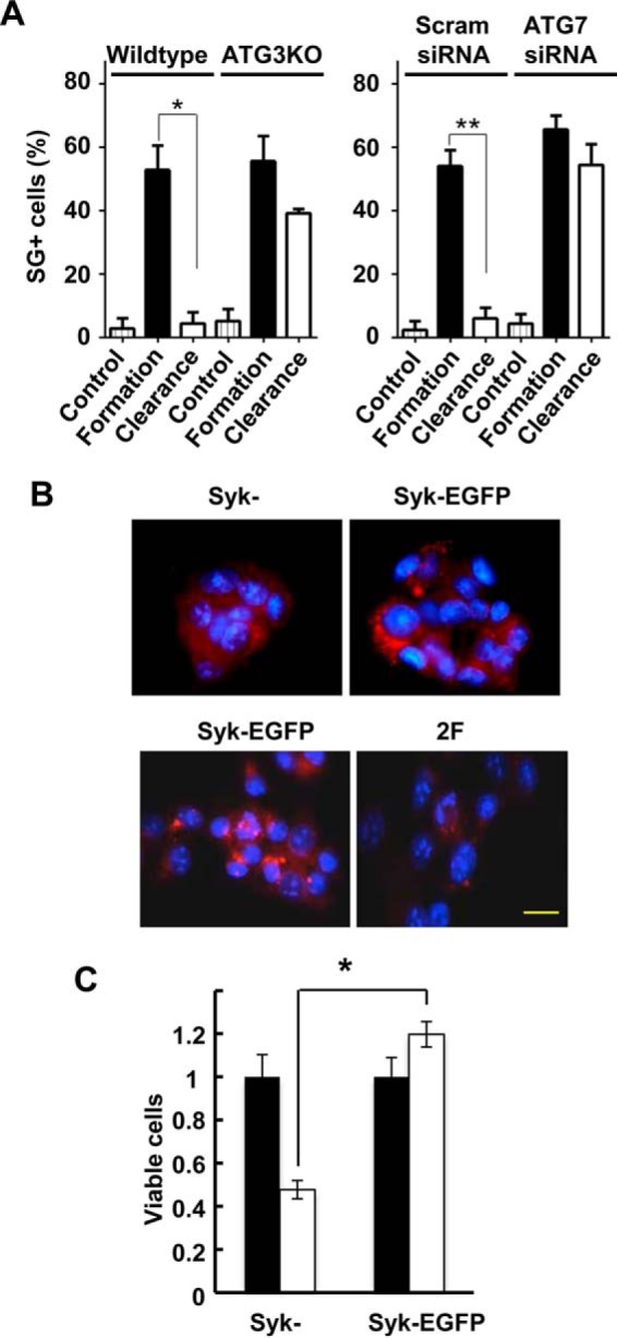 FIGURE 13.