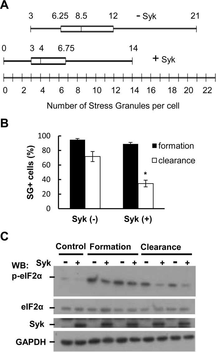 FIGURE 9.