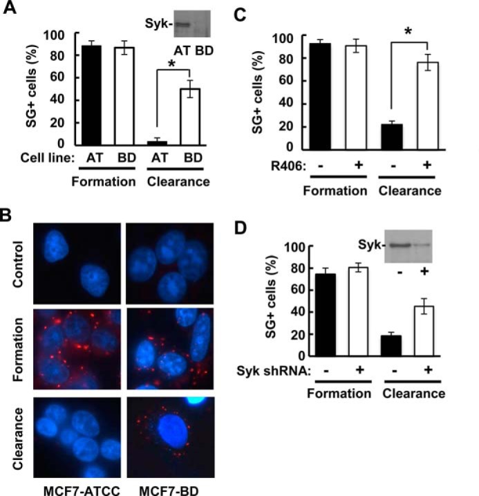 FIGURE 11.