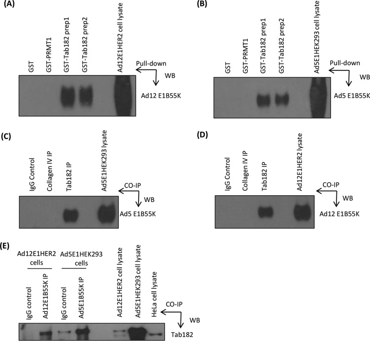 FIG 9