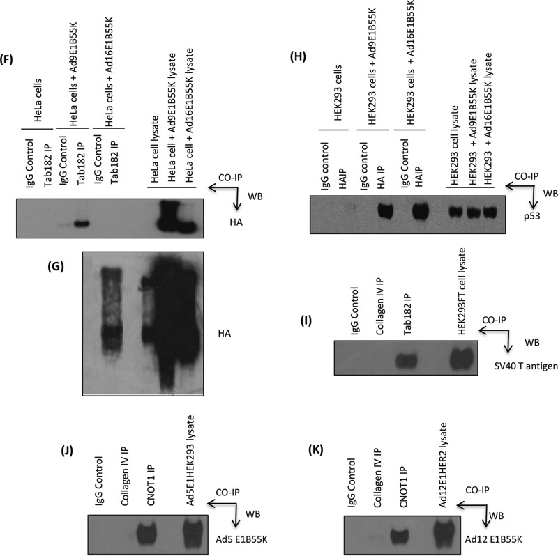 FIG 9