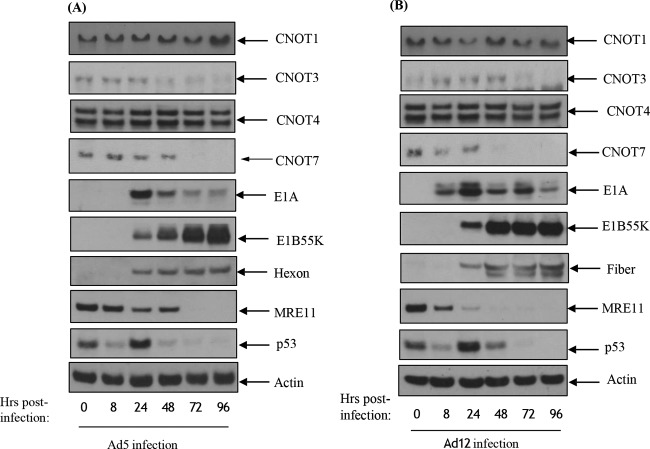 FIG 10