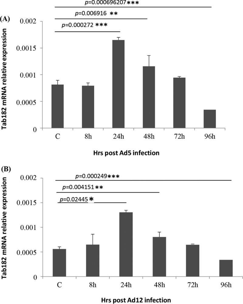 FIG 3