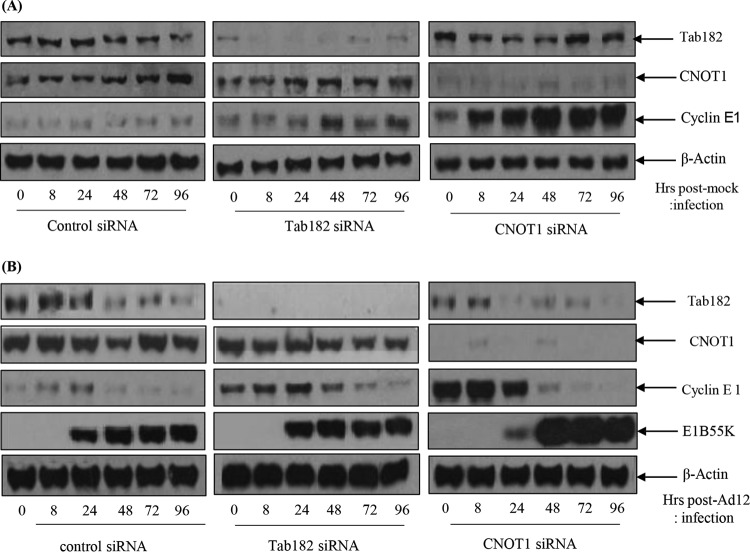 FIG 12