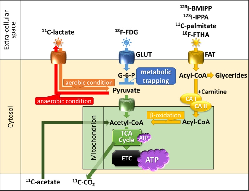 Figure 6