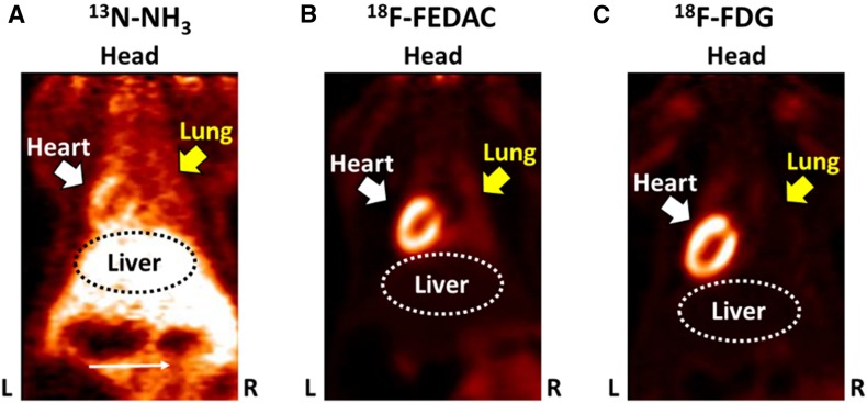 Figure 12