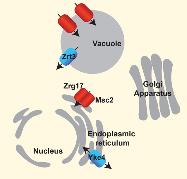 Figure 1.